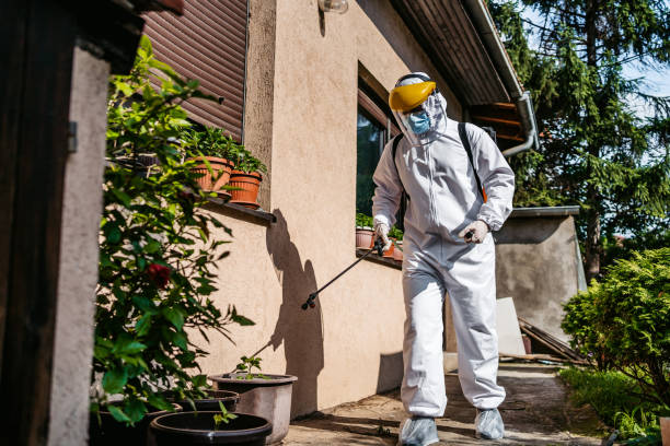Wasp Removal Services in Waseca, MN