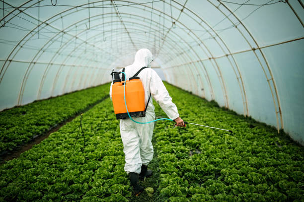 Best Mosquito Control Services  in Waseca, MN