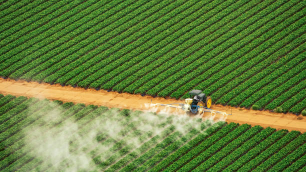 Best Pest Removal Services  in Waseca, MN