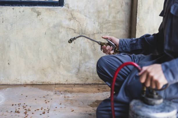 Best Termite Control Services  in Waseca, MN